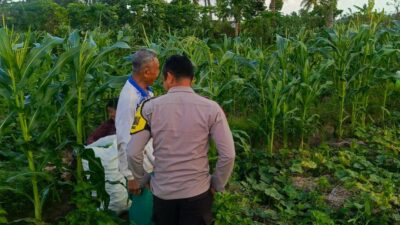 Sinergi Polisi dan Petani Wujudkan Ketahanan Pangan di Kuripan Utara