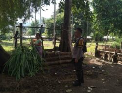 Sinergi Polri-Masyarakat Bangun Ketahanan Pangan Lokal di Batulayar