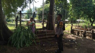 Sinergi Polri-Masyarakat Bangun Ketahanan Pangan Lokal di Batulayar