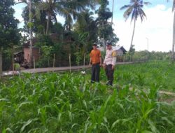 Pendekatan DDS Jadi Strategi Polri Bangun Kamtibmas Pertanian di Kuripan Timur