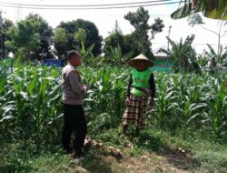 Dukung Ketahanan Pangan, Polisi Ajak Petani Manfaatkan Lahan Kosong di Bagik Polak Barat