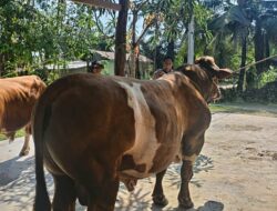Ketua Bhayangkari Daerah Bengkulu Salurkan Bantuan Kemanusiaan bagi Korban Gempa
