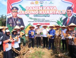 Kapolres Kampar Panen Raya Jagung: Wujud Dukungan Nyata untuk Ketahanan Pangan Nasional