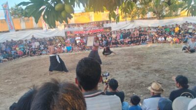 Warisan Sasak di Panggung Dunia, Festival Peresean Ramaikan Lombok Barat