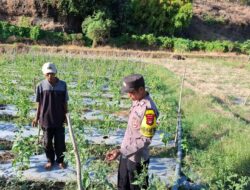 HUT Bhayangkara Ke-79, Polsek Soromandi Polres Bima Dorong Ketahanan Pangan Lewat Lomba Pekarangan Pangan Bergizi