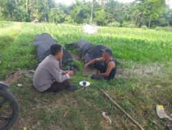 Sinergi Polri-Petani, Lembar Lombok Barat Fokuskan Ketahanan Pangan