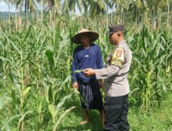 Pekarangan Bergizi di Sekotong: Inisiatif Polri Dorong Produksi Pangan