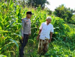 Langkah Strategis Polri Jaga Ketahanan Pangan di Desa Mareje Timur