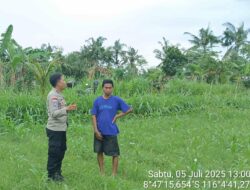Bhabinkamtibmas Aktif di Ladang: Ketahanan Pangan Dimulai dari Desa