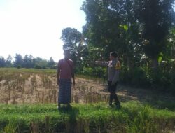 Bakti Polri untuk Pangan: Bhabinkamtibmas Aktif di Jagaraga, Lombok Barat