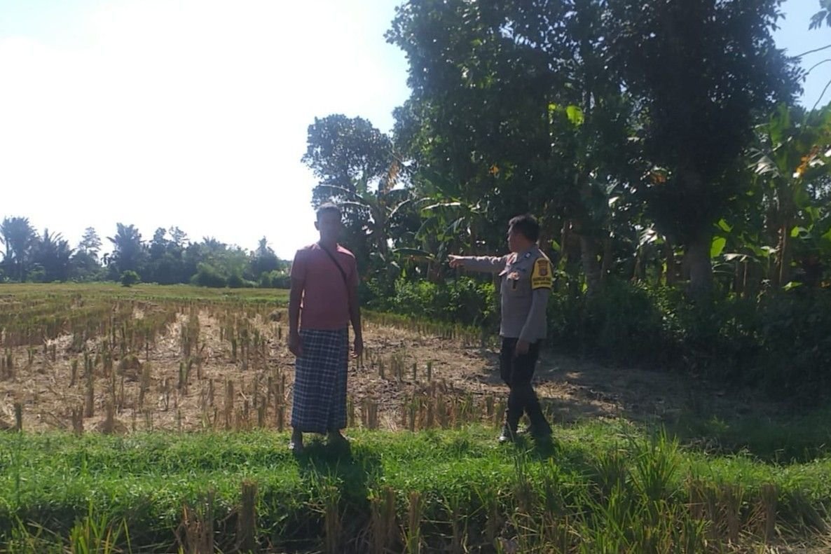 Bhabinkamtibmas Desa Jagaraga Dorong Kemandirian Pangan dari Pekarangan Warga
