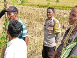 Warga Dusun Timur Selatan Didorong Tanam Sayur Demi Ketahanan Pangan Keluarga