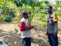 Dari Pekarangan ke Piring: Inisiatif Ketahanan Pangan di Dusun Timur Utara Rumak