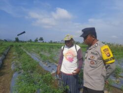 Wujud Nyata Ketahanan Pangan: Polri dan Warga Montong Are Bergotong Royong di Sawah