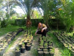 Bhabinkamtibmas Labuapi Sosialisasikan Pangan Sehat dari Pekarangan di Terong Tawah