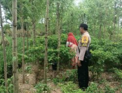 Polres Lombok Barat Dukung Pertanian Cabai di Kediri, NTB