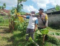 Warga Dusun Dawung Diedukasi Manfaat Lahan Kosong untuk Tanaman Pangan
