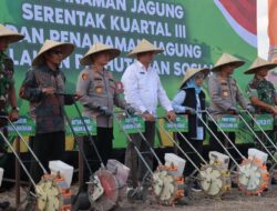 Penanaman Jagung Serentak di Gerung: Wujud Kolaborasi Polda NTB dan Masyarakat