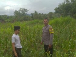 Bhabinkamtibmas Desa Sekotong Tengah Gencarkan Edukasi Ketahanan Pangan