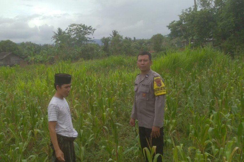 Ketahanan Pangan dan Keamanan Diperkuat di Sekotong Tengah Lewat DDS Bhabinkamtibmas