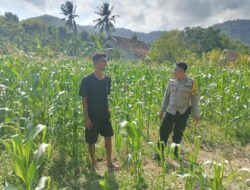 Polri Bina Petani di Lombok Barat, Kawal Ketahanan Pangan dari Akar Rumput