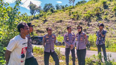 Tingkatkan Produktivitas Jagung, Polda NTB dan Polres Lombok Barat Tinjau Lahan di Desa Kedaro