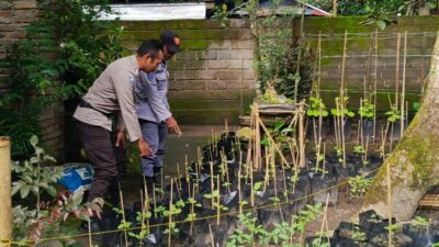 Blue Light Patrol, Upaya Polres Lobar Tangkal Begal & Balap Liar
