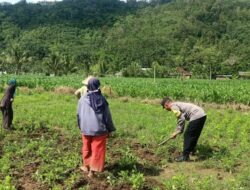 Sinergi Polisi-Warga Kuripan, Ketahanan Pangan Dimulai dari Pekarangan