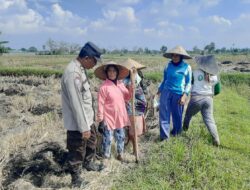 Peran Strategis Bhabinkamtibmas dalam Ketahanan Pangan di Kecamatan Kediri