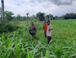 Blue Light Patrol, Upaya Polres Lobar Tangkal Begal & Balap Liar
