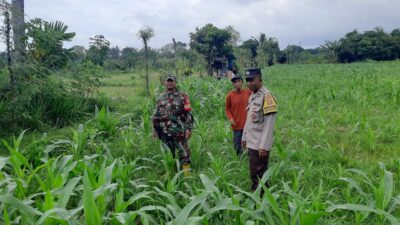 Blue Light Patrol, Upaya Polres Lobar Tangkal Begal & Balap Liar