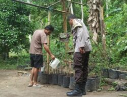 Program Pekarangan Bergizi di Batulayar: Upaya Kolektif Bangun Ketahanan Pangan