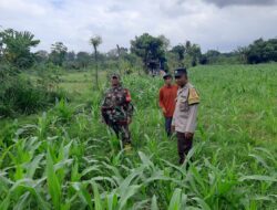 Ketahanan Pangan Jadi Fokus Polsek Kediri di Montong Are