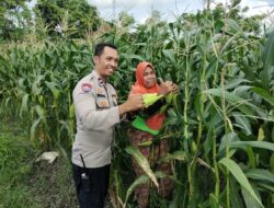 Pekarangan Produktif, Desa Aman: Inisiatif Ketahanan Pangan Bhabinkamtibmas Labuapi