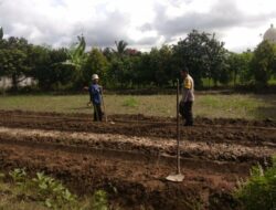 Dusun Plowok Selatan Jadi Contoh Kolaborasi Ketahanan Pangan