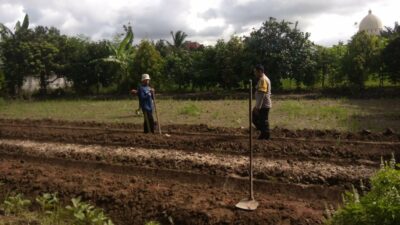 Bhabinkamtibmas Kediri Dorong Ketahanan Pangan di Plowok Selatan