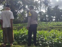Lahan Pekarangan Dusun Pelan Disulap Jadi Sumber Pangan