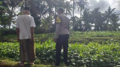 Lahan Pekarangan Dusun Pelan Disulap Jadi Sumber Pangan