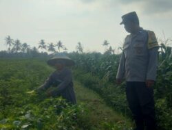 Bhabin Montong Are Garda Ketahanan Pangan dan Kamtibmas