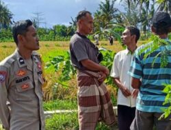 Peran Polisi di Tengah Sawah: Ketahanan Pangan Dimulai dari Dusun Rumak Barat