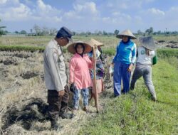 Ketahanan Pangan Dimulai dari Desa: Langkah Humanis Bhabinkamtibmas Montong Are