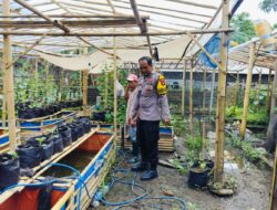 Ajak Tanam Cabai hingga Tomat, Bhabinkamtibmas Bangkitkan Semangat Bertani di Bajur