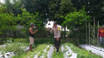 Dukung Program Nasional, Polsek Kuripan Galakkan Ketahanan Pangan di Jagaraga