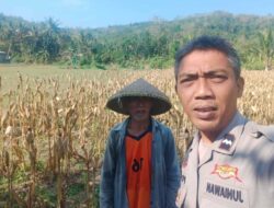 Bhabinkamtibmas Eyat Mayang Bangun Kedekatan dengan Petani untuk Wujudkan Swasembada Pangan