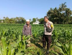 Polsek Lembar Dorong Produktivitas Warga Sandik Lewat Pertanian Pekarangan