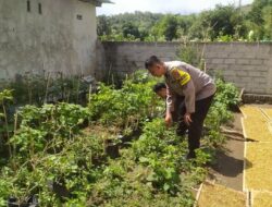 Bhabinkamtibmas Edukasi Warga Sekotong Tengah: Dari Keamanan ke Pangan Berkelanjutan