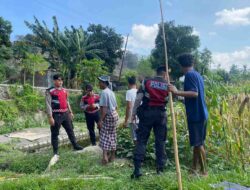 Polres Lombok Barat Aktif Kawal Produksi Jagung Petani