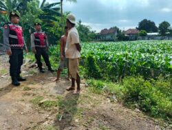 Pengamanan Penanaman Jagung di Desa Gerung, Polri Hadir Jaga Kondusivitas Pertanian