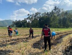 Polri dan Petani Kebon Ayu Bersinergi Wujudkan Swasembada Pangan