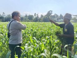 Polsek Batulayar Wujudkan Kamtibmas dan Kesejahteraan Lewat Swasembada Pangan